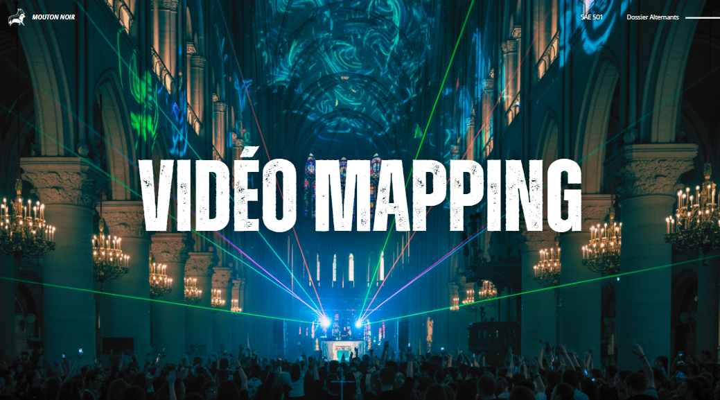 Vidéo Mapping - Réalisation Mouton Noir