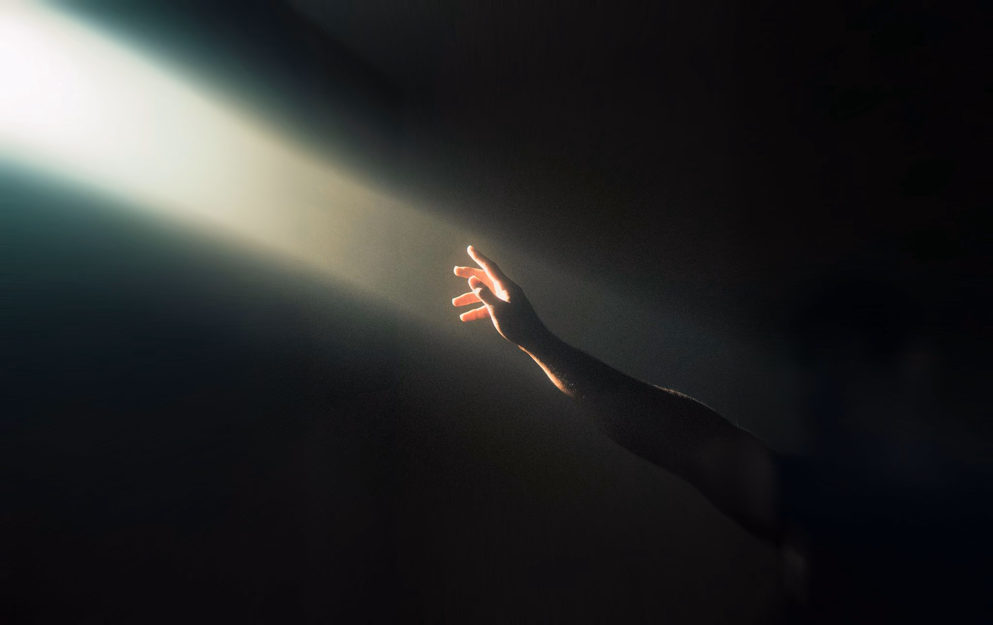 Mouton Noir - Notre vision et nos valeurs